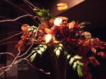 2008_1025200711110065.JPG